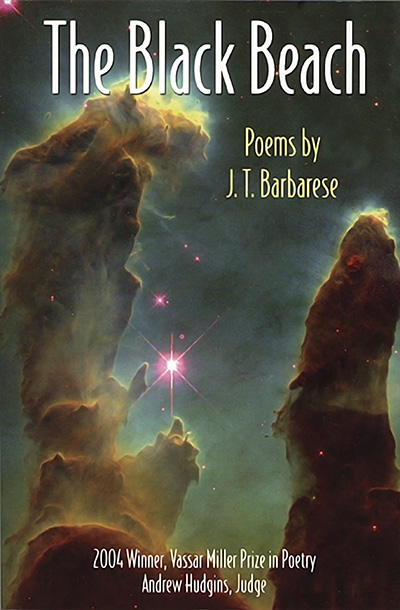 Bookcover: The Black Beach