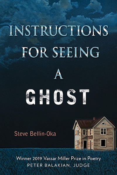 Bookcover: Instructions for Seeing a Ghost