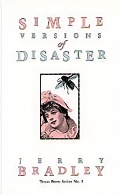Bookcover: Simple Versions of Disaster