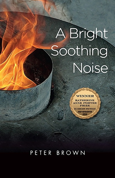 Bookcover: A Bright Soothing Noise