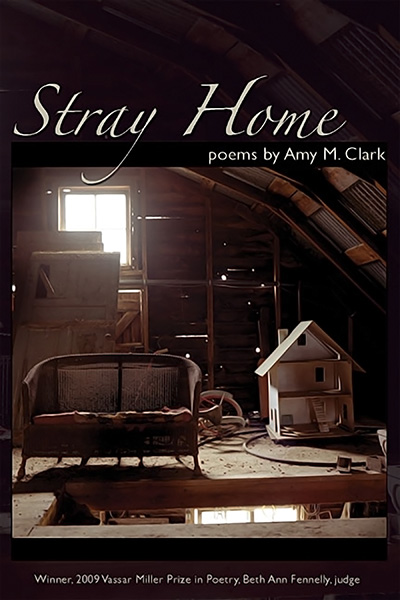 Bookcover: Stray Home