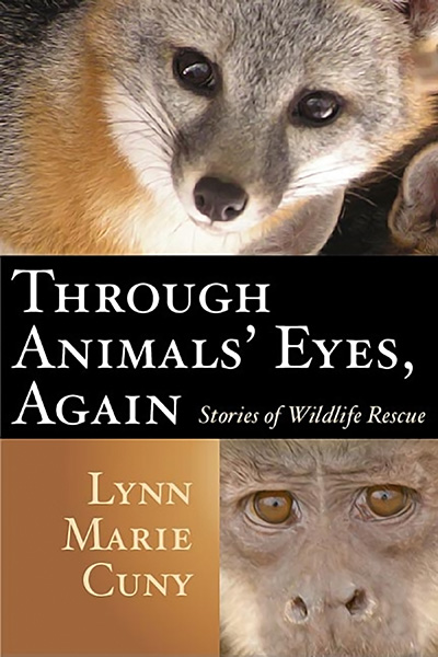 Bookcover: Through Animals' Eyes, Again: Stories of Wildlife Rescue