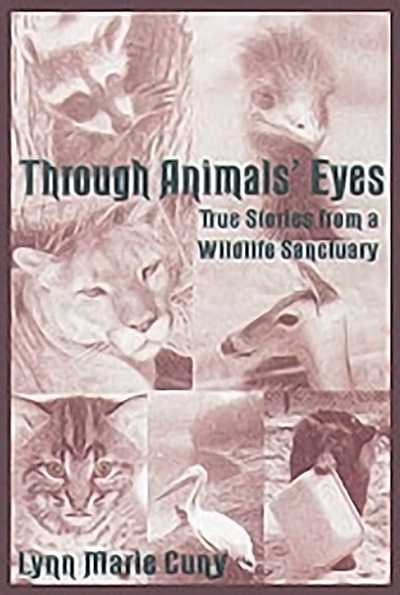 Bookcover: Through Animals' Eyes: True Stories from a Wildlife Sanctuary