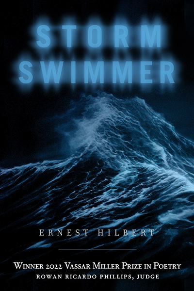 Bookcover: Storm Swimmer