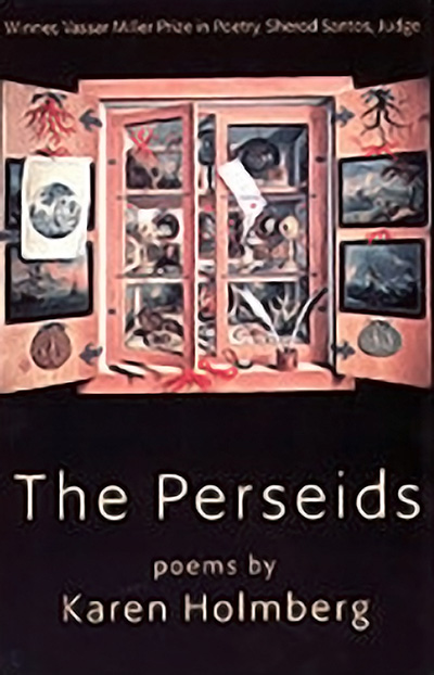Bookcover: The Perseids