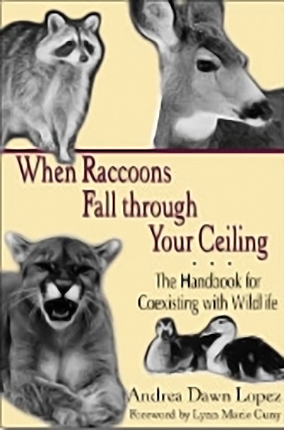 Bookcover: When Raccoons Fall through Your Ceiling: The Handbook for Coexisting with Wildlife